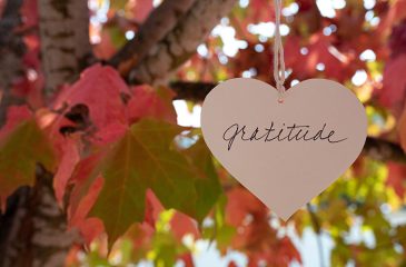 gratitude in a tree